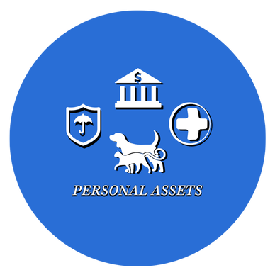 personal assets icon - LifeStats helps you effectively organize your personal assets.